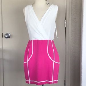 Pink and White Oxford Circus Dress